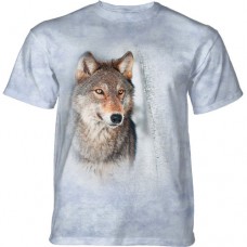 TSHIRT GREY WOLF  IN BIRCHES